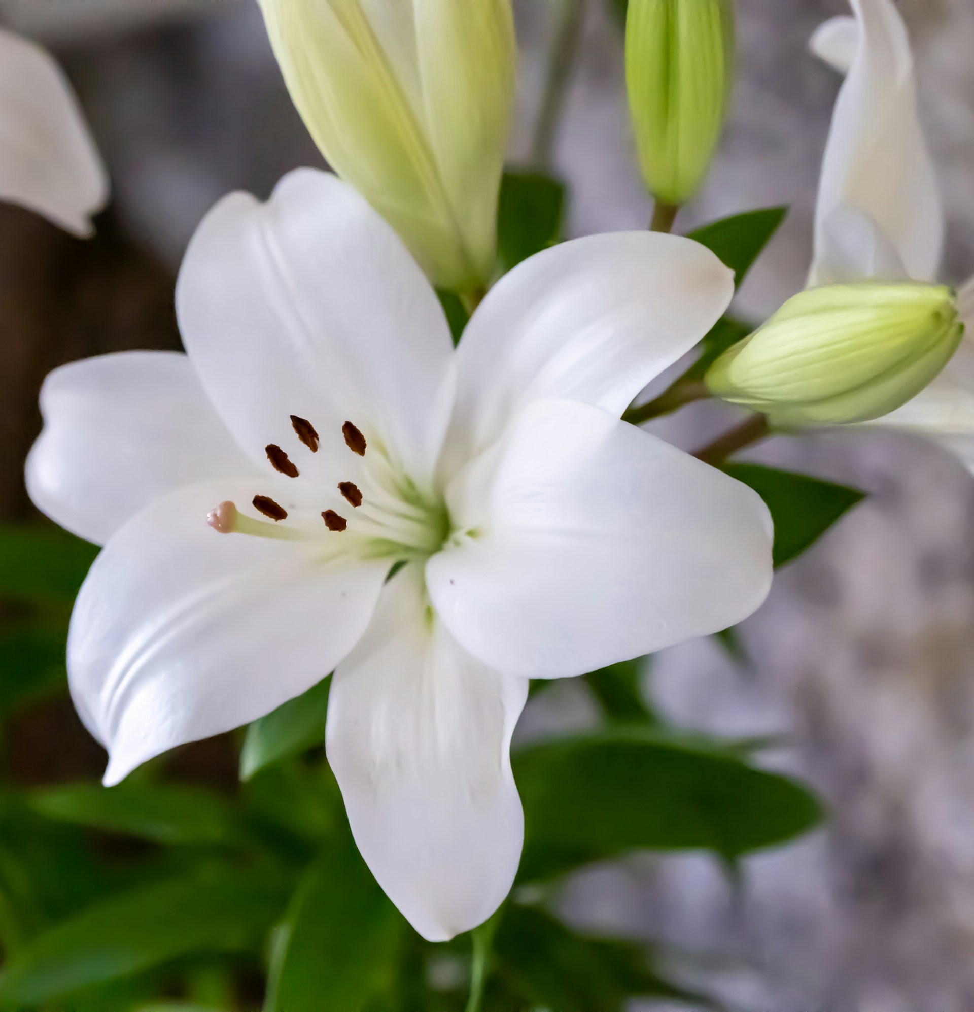 Haberdoedas Ii WmBQHb7o7 U Unsplash